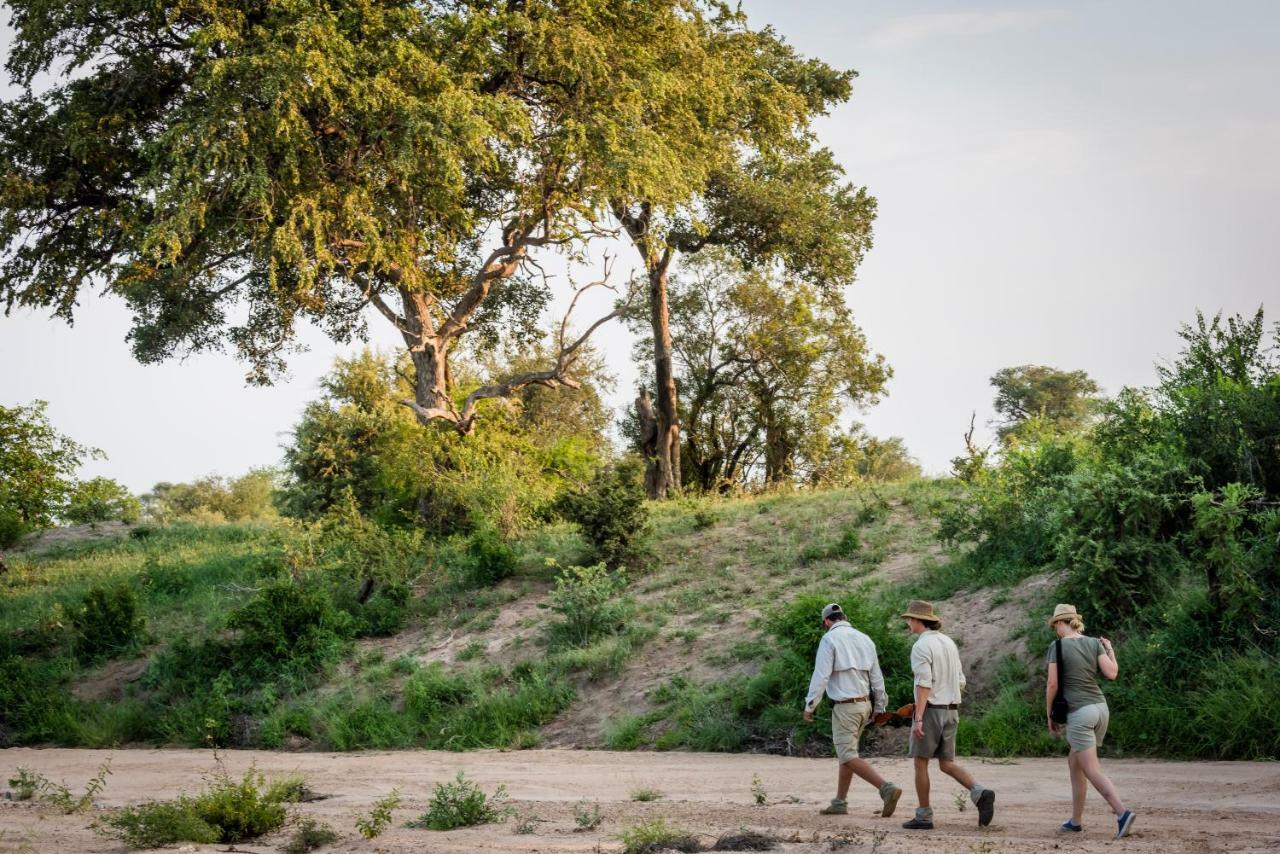 Klaserie Sands River Camp Klaserie Private Nature Reserve Εξωτερικό φωτογραφία